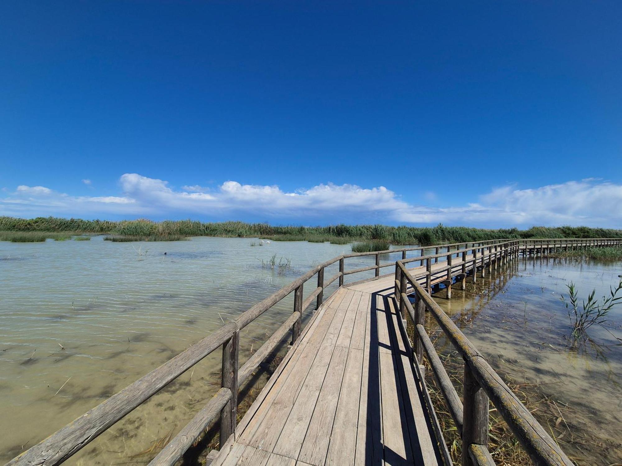 Santa Pola Salamanca 10 Apartamento, Garaje Subterraneo, Fibra Optica, Lavavajillas, Aire Acondicionado, Gran Terraza, Grand Playa 450M المظهر الخارجي الصورة